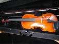 violin