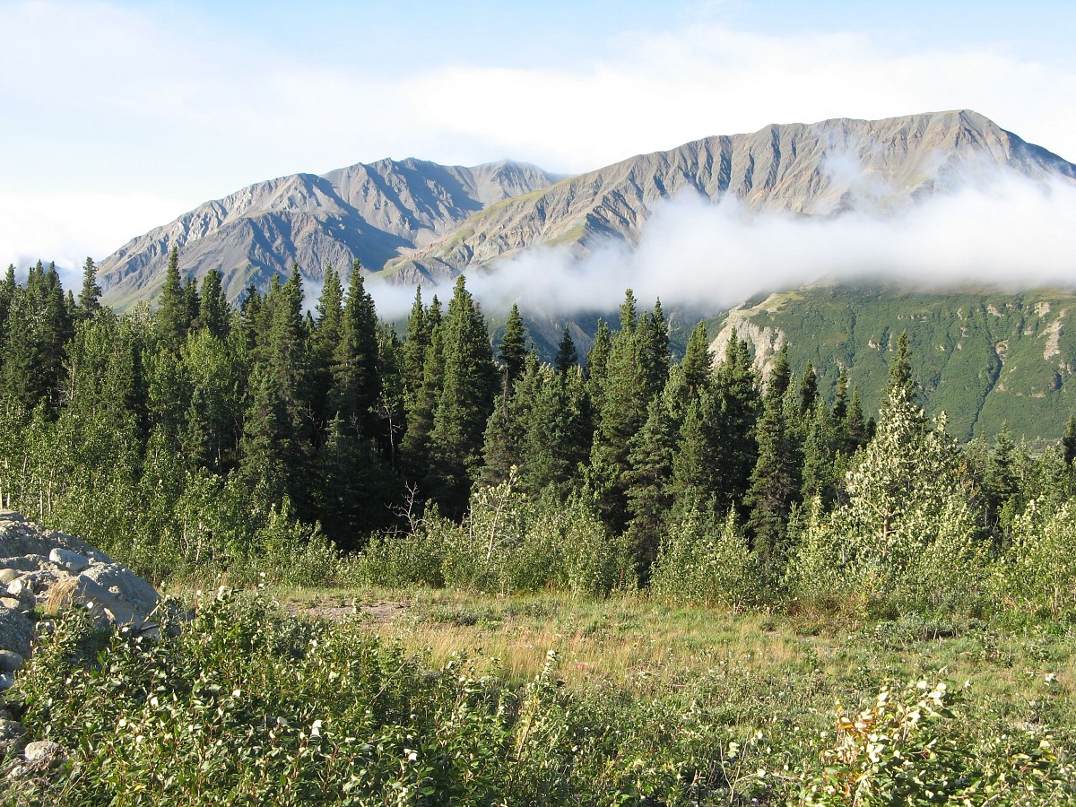 Fairbanks, Alaska (Fairbanks Suzuki Institute)