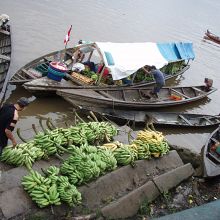 Tales from the Peruvian Amazon