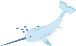 Narwhal—Twinkle Twinkle Little Sea