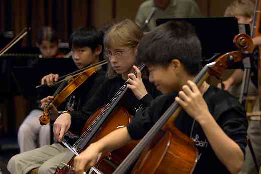 Cellists in the Shenandoah Valley Honors Orchestra at the 2006 SAA Conference