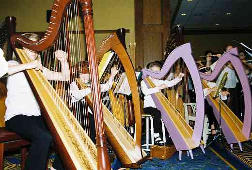 Suzuki harp students.