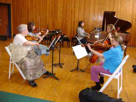 Chamber music at Suzuki by the Green