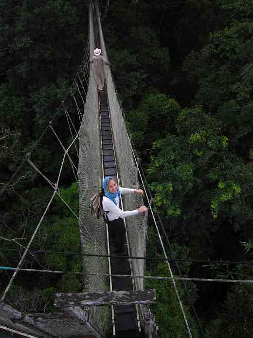 Mary and the Amazon canopy