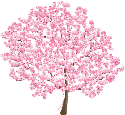 Cherry Blossom Tree