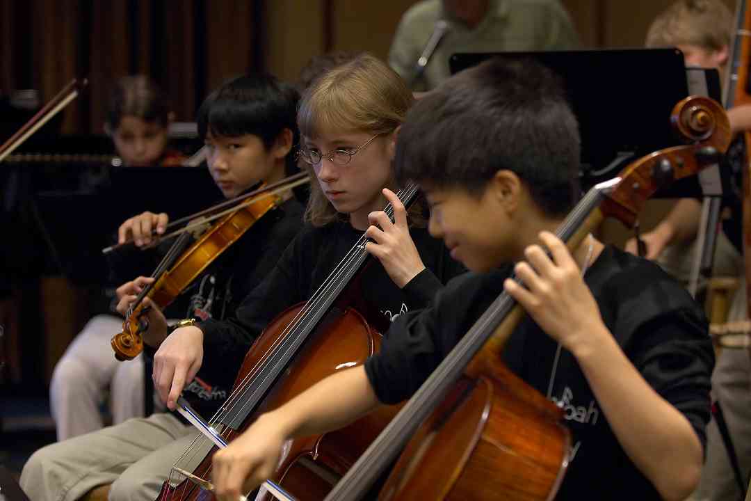 Cellists in the Shenandoah Valley Honors Orchestra at the 2006 SAA Conference