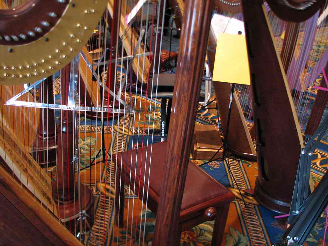 A forest of harps at the 2008 SAA Conference