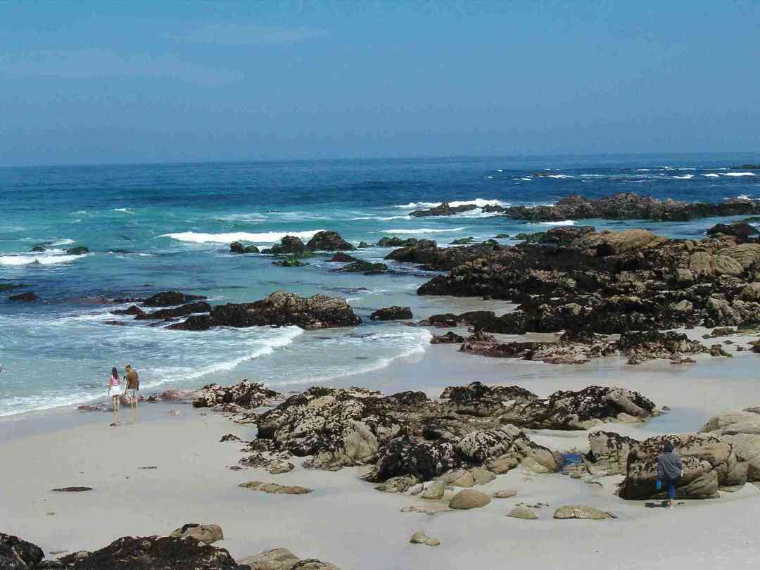 Tide pools at the 2005 SAA Leadership Retreat, Asilomar.